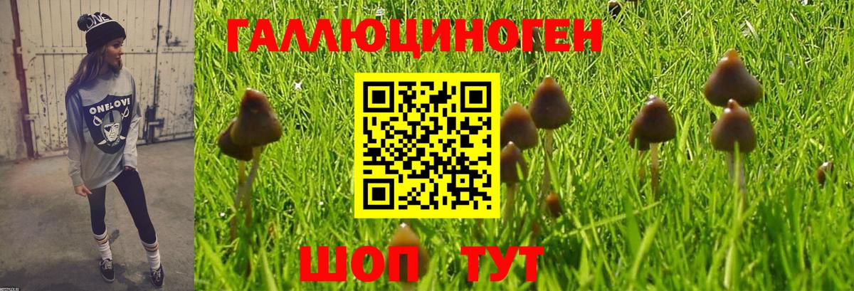 закладки  Вход с VPN  Зеленокумск  Галлюциногенные грибы Psilocybe 